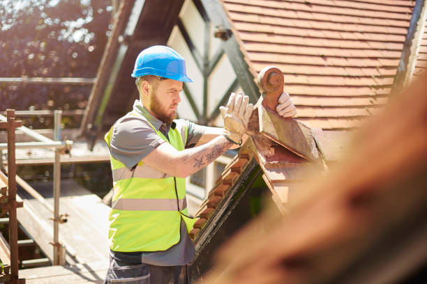 Best Roof Gutter Cleaning  in De Leon Springs, FL